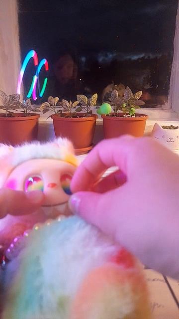 F13af9e1c4039ca21546d55b26f8426b