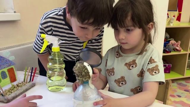 Огород на подоконнике