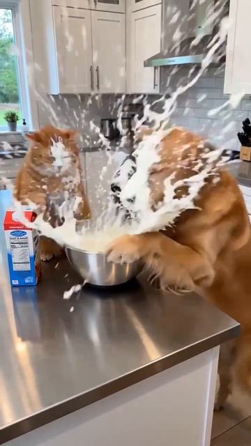 Прикол из нейросети