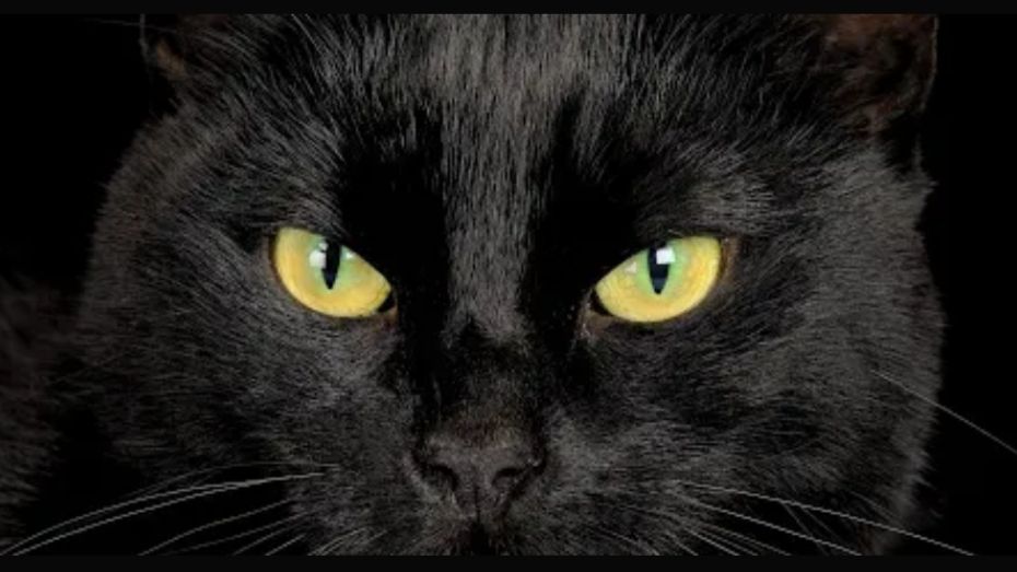 ЧАСТИЦА НЕ В ЖИЗНИ И В МАГИИ. ОБСУДИМ