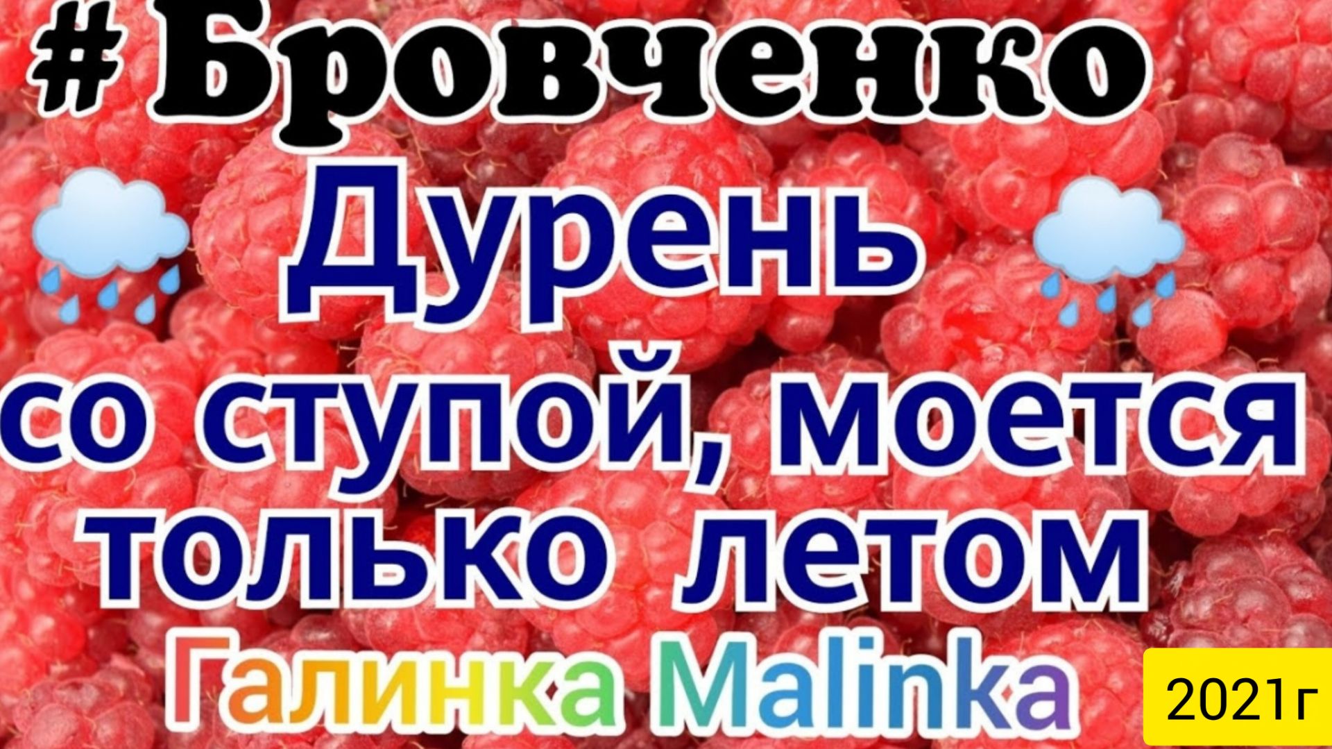 Семья Бровченко _Дурень со ступой моется только летом _Обзор Влогов _