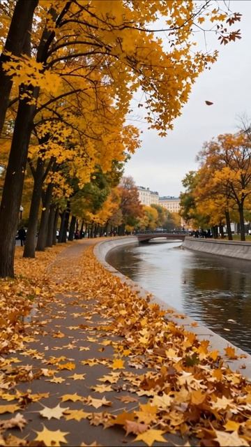 Золотая осень: прогулка вдоль канала осень природа москва