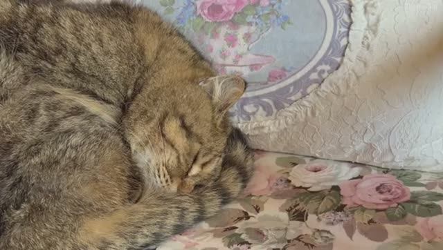 Наслаждаясь уютными днями в деревне  Находим красоту в простых вещах