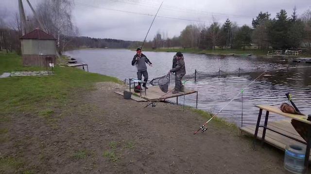 Светлые Горы Форель10 18.04.2026г.