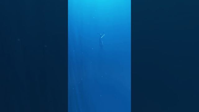 Creepy Thalassophobia Animations LIGHTS ARE OFF