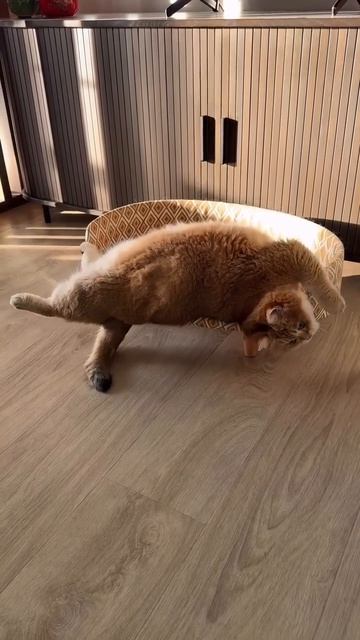 Не умещается