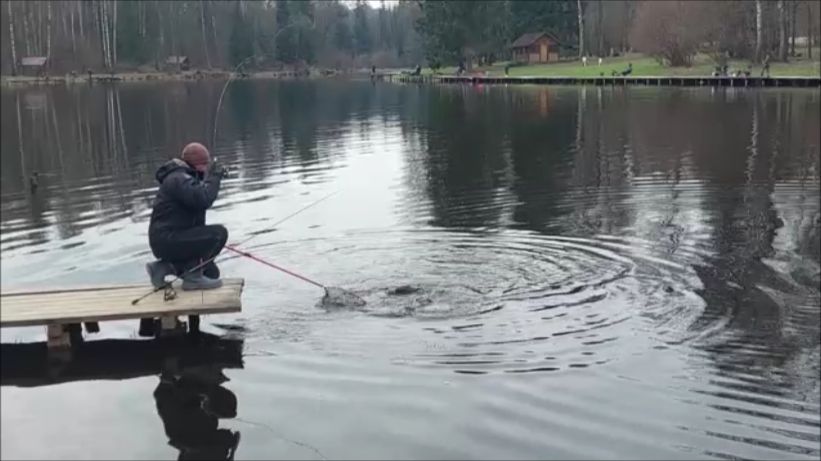 Актив работает на верхнем водоёме. Клёвое место Лосиный остров.