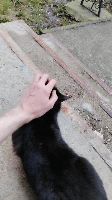 PXL_20260418_192416312