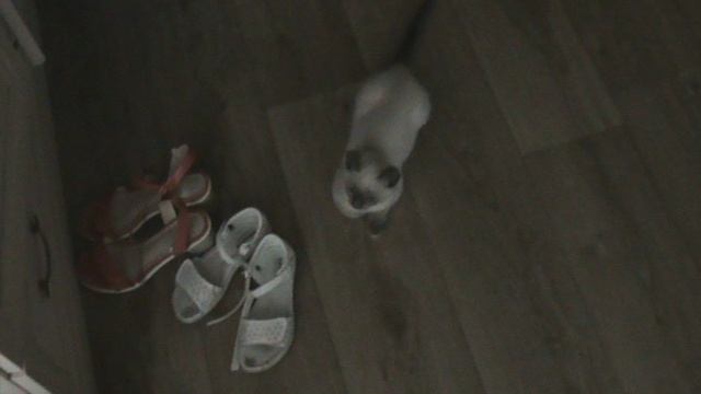 25Й ДОМА КУЗЯ