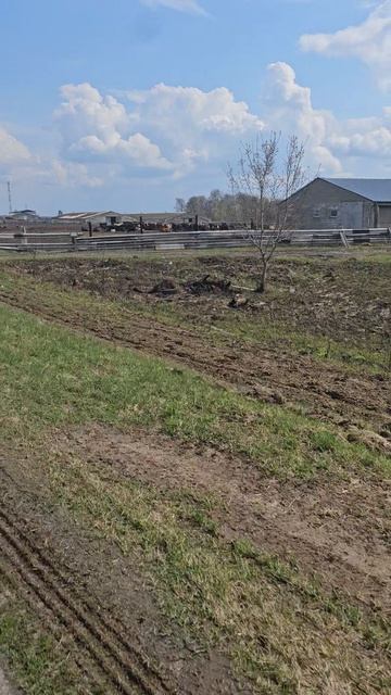 Подвозим сено коням