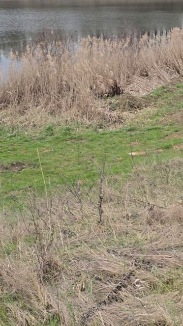 Рыбалка 17 апреля 2026 г.