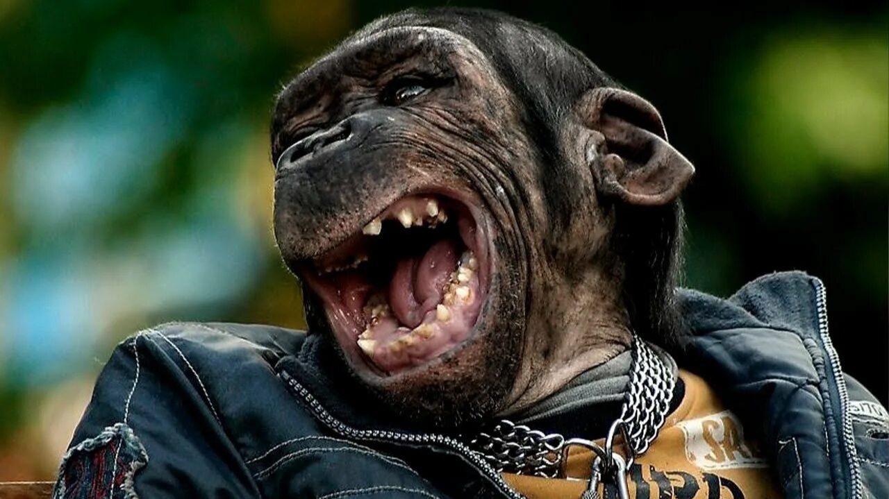 5f5f4704e90b23c1fdc1f1ae9ab259c5