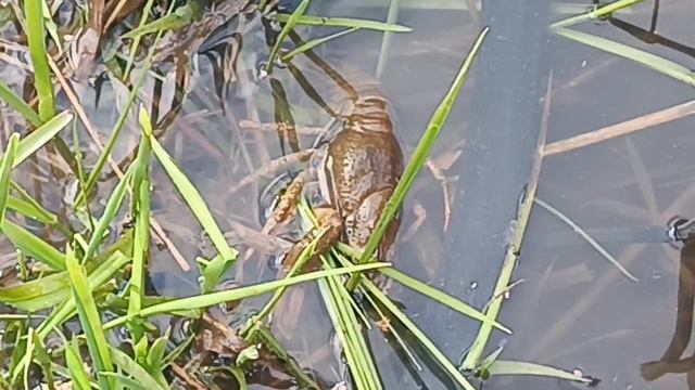 VID_20260418_093642_906