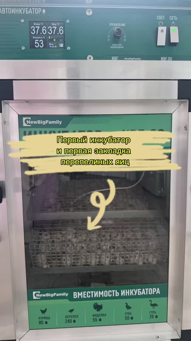 Первый инкубатор. Первые инкубационные яйца.