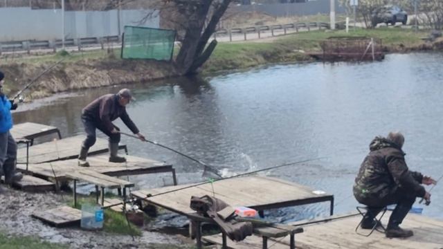 Светлые Горы Форель6 18.04.2026г.