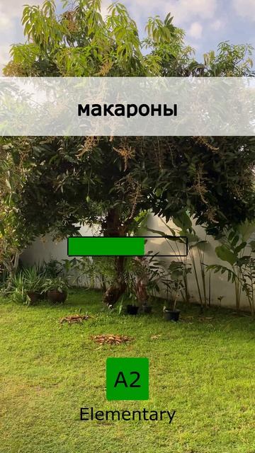  Твоя ежедневная норма: 5 слов A2 03 May 2026