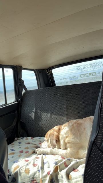 Ульзана Anzl.ru Отдыхает