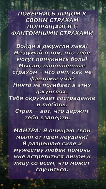 ПОВЕРНИСЬ ЛИЦОМ К СВОИМ СТРАХАМ ПОПРАЩАЙСЯ С ФАНТОМНЫМИ СТРАХАМИ