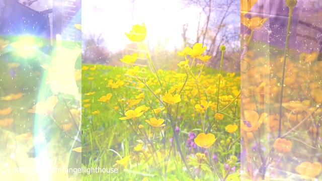 Послание Световой Библиотеки