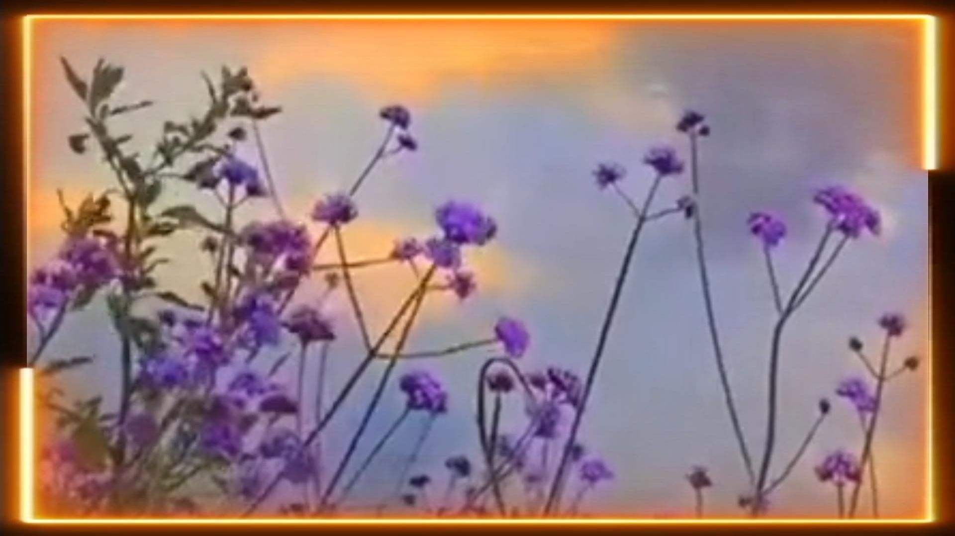 Летят года.Монтаж от Светланы.