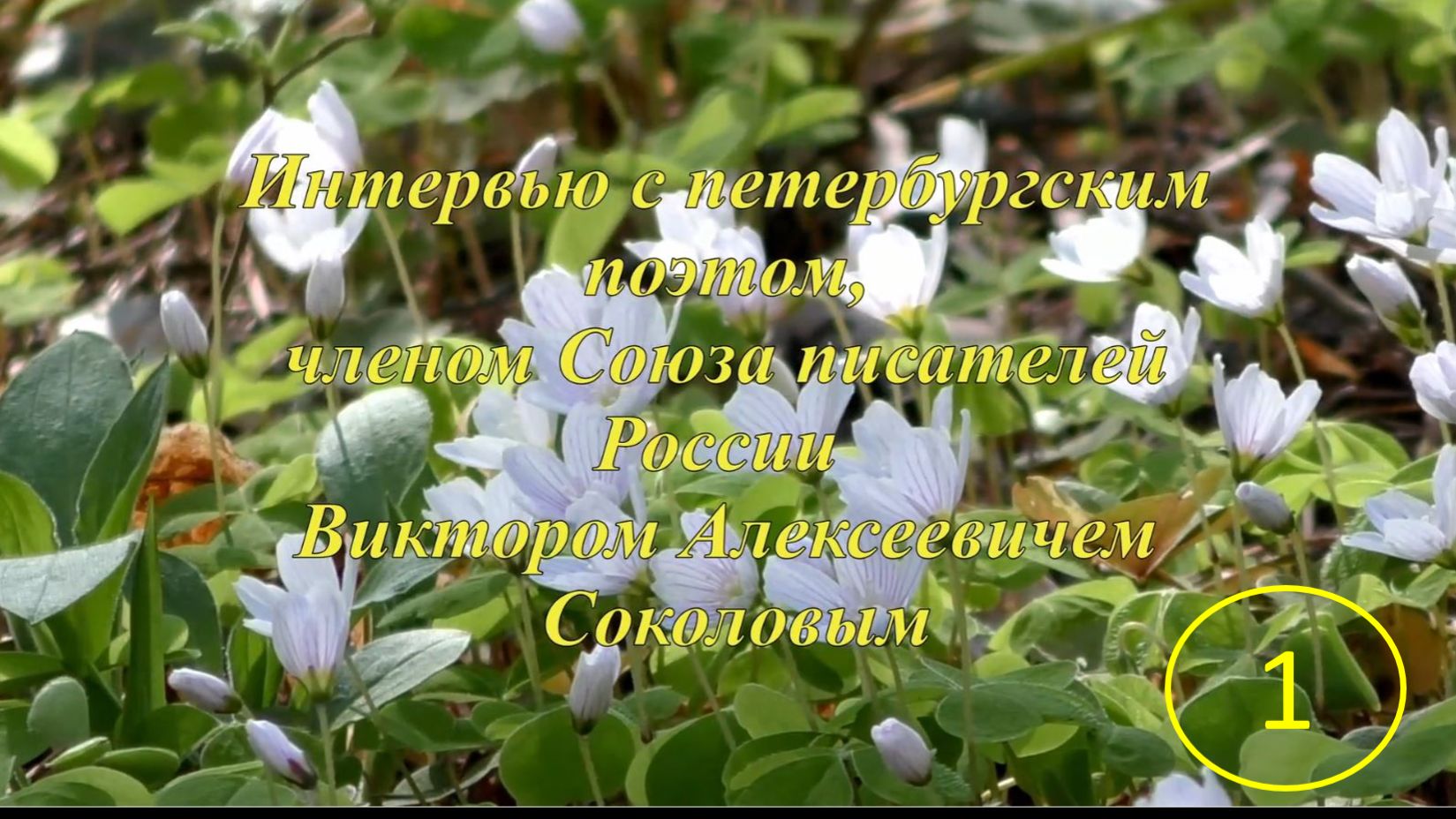 Интервью с петербургским поэтом Викторов Алексеевичем Соколовым. Часть первая (сокращенный вариант)