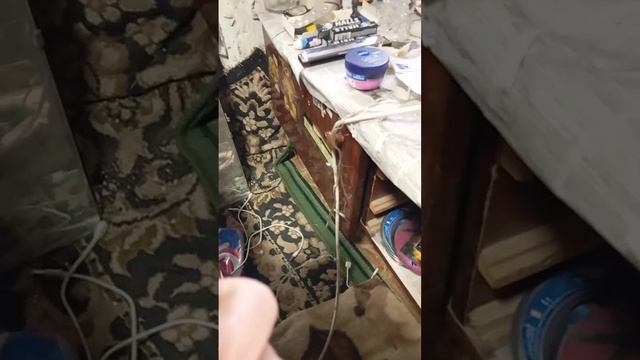 здеся света вечиром дома мама Ия 