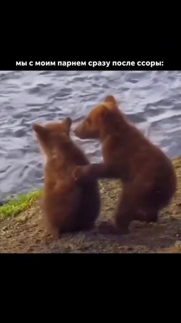 Артикул на брюки WB:  320394948🤎