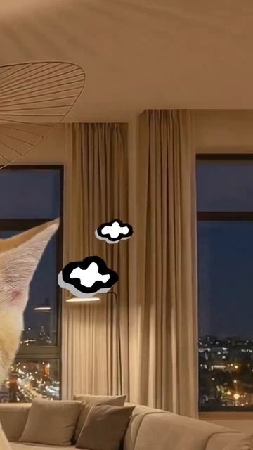 котята пояснят)