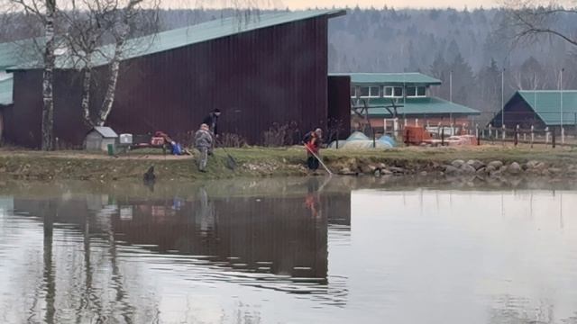 Долгое вываживание крупной форели