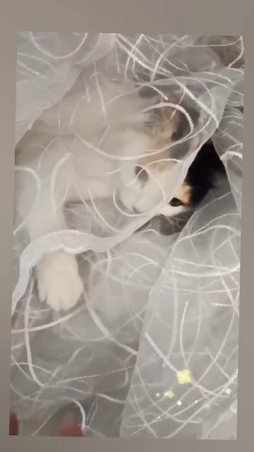 Россия.Сибирь. Ангарск. 18.04.2026г.  Они для нас СТРАНИЦА В ЖИЗНИ а мы для них ВСЯ ЖИЗНЬ!