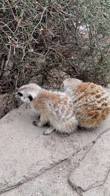 Астрология Водолея: магия и энергия космоса астрология Водолей энергия