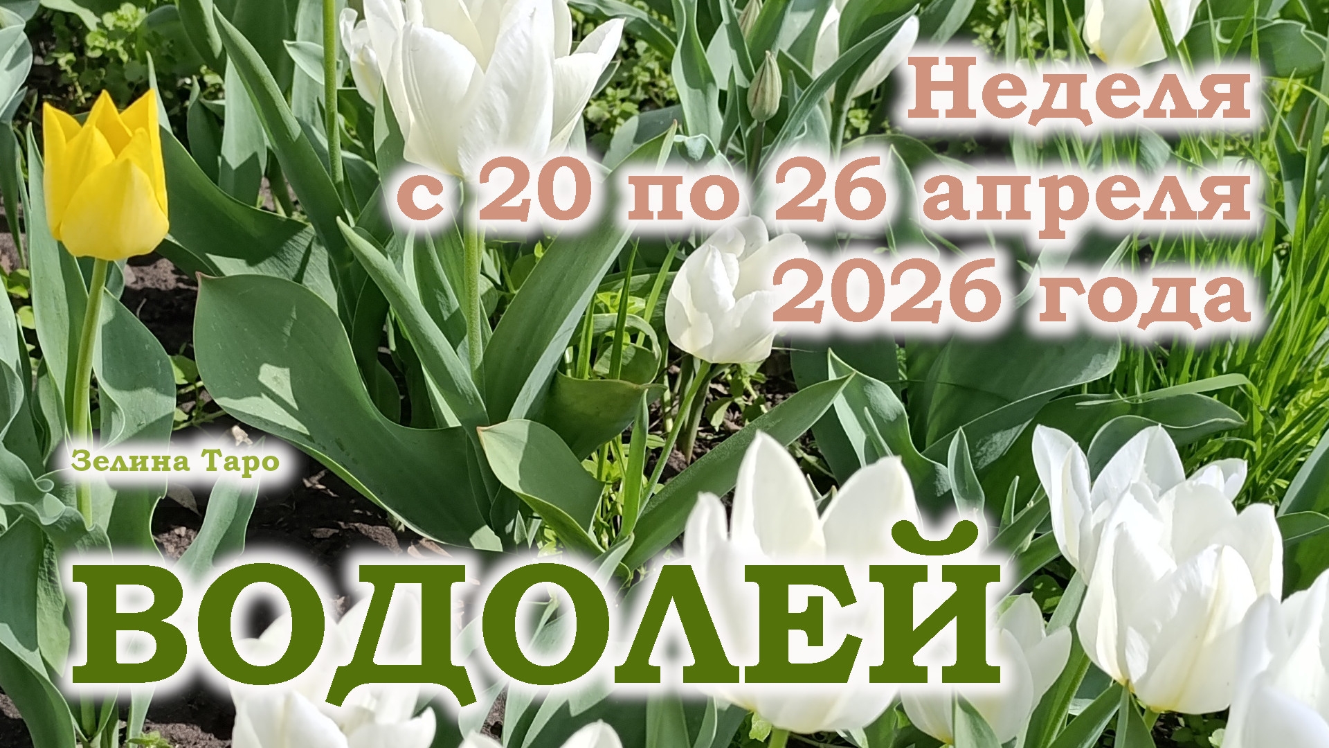 ВОДОЛЕЙ  ТАРО прогноз на неделю с 20 по 26 апреля 2026 года