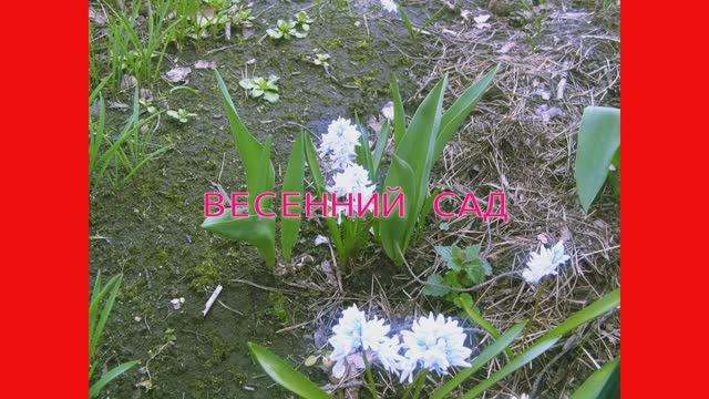 Садовые Работы