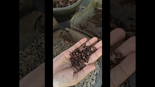 Интересности с Бали