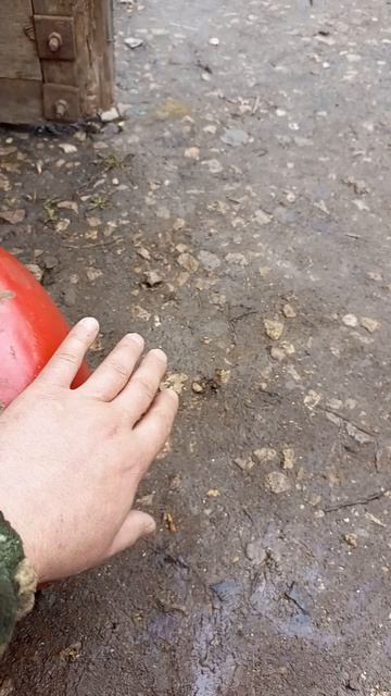 Как пропарить газовый балон в домашних условиях