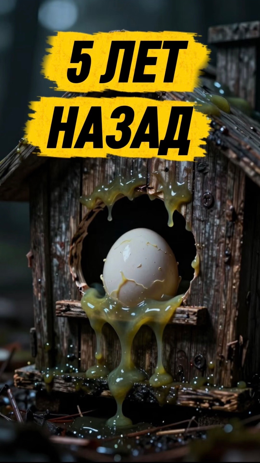 Я ОСТАВИЛ ЭТО НА 5 ЛЕТ  кот кошка животные ужасы страшно ужастик яйцо