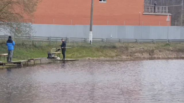 Светлые Горы Форель22 18.04.2026г.