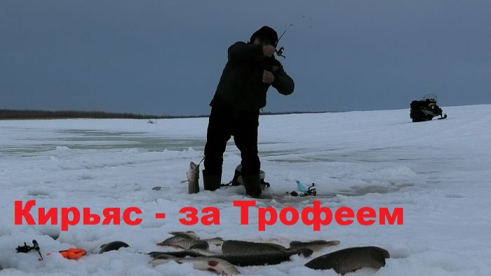 На Кирьяс за Трофеями ... все только начинается.