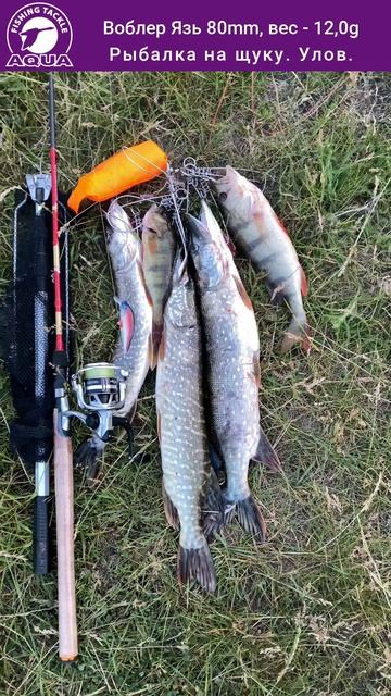 Для рыбалки на щуку окуня судака - воблер ЯЗЬ. Отличный улов.