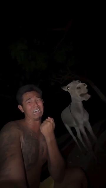 Как жить эту жизнь?