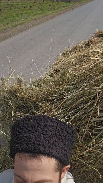 Везём сено тюк