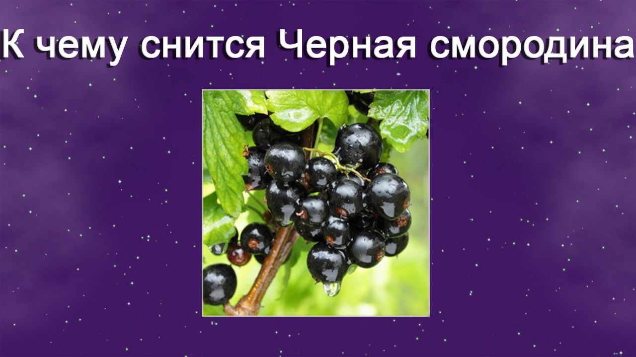 К чему снится Черная смородина - толкование сна