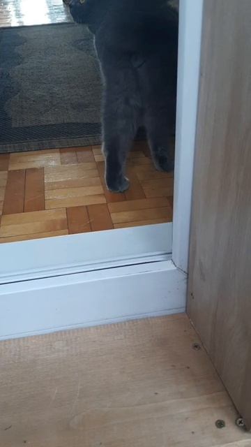 Куда пошёл?Сперва туда потом сюда!