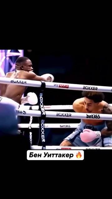 Как он двигается 🔥