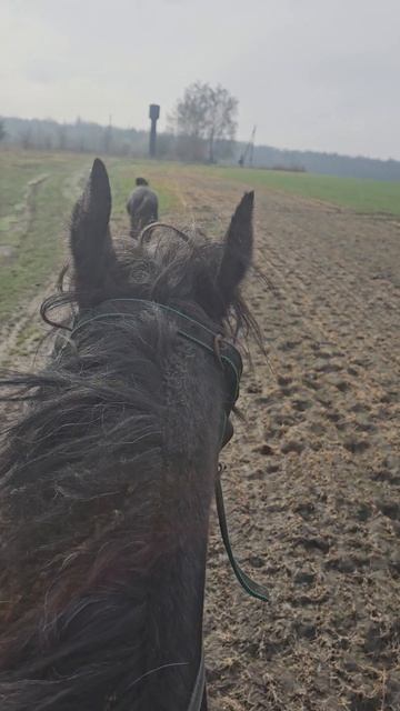 Проехались по полю на тройке