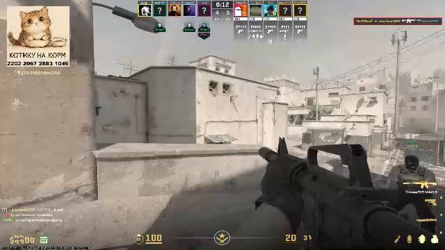 Стрим. Вижу чат только на твиче: Https://www.twitch.tv/sergo_twitch_tv