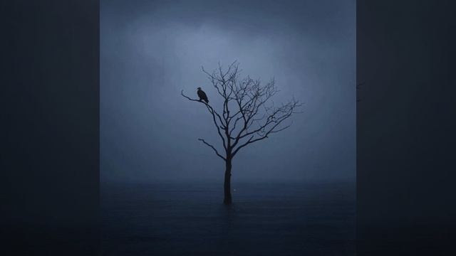 Question Mark Question Mark Question Mark - Rastayavshiy