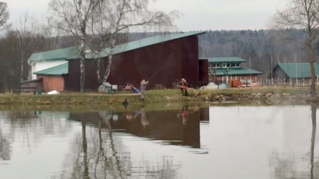 Очередной хвост в зачете