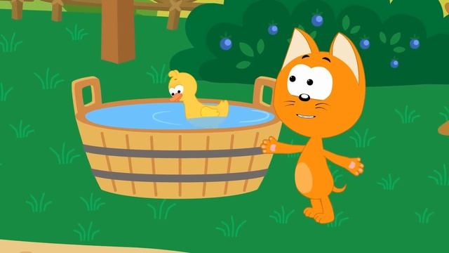 A96564aae5581036cda57043568a1cdb