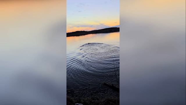 Dj Rastov и AllaBell - Внезапные колбаски